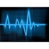 QRS Holter LX Analysis Software