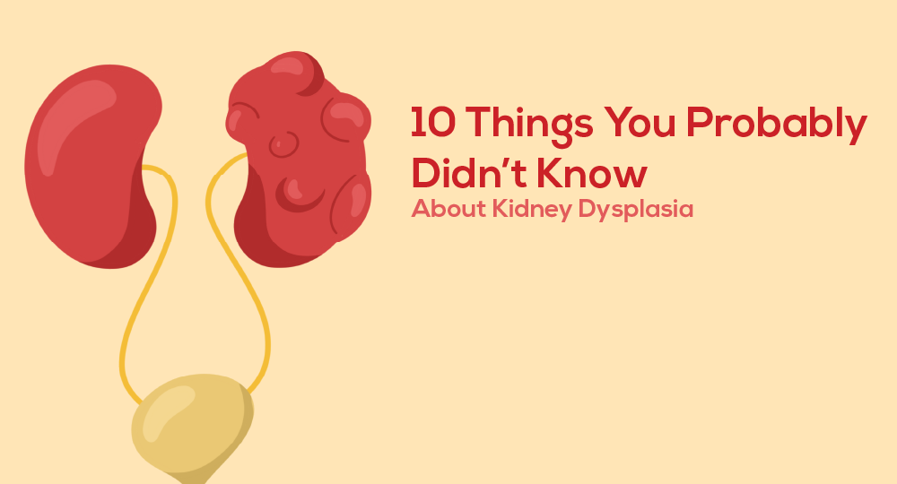 Kidney dysplasia