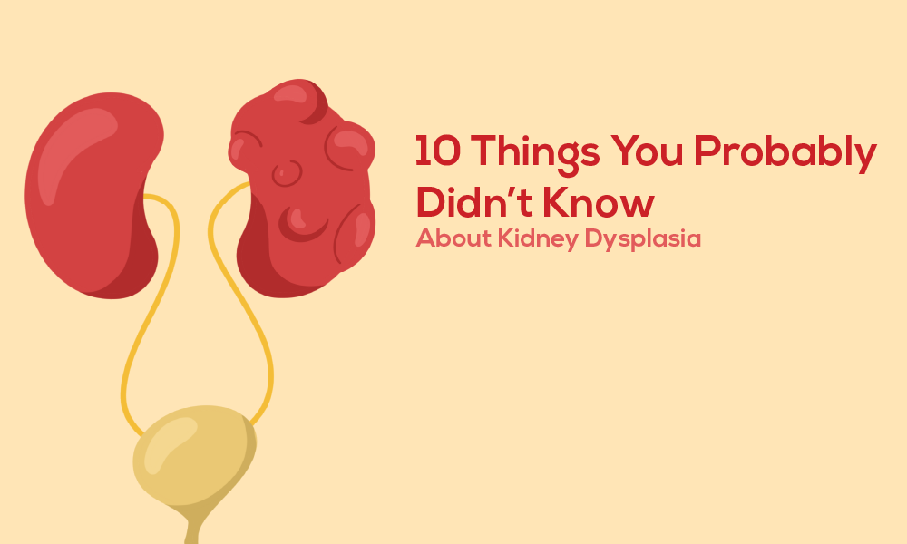 Kidney dysplasia