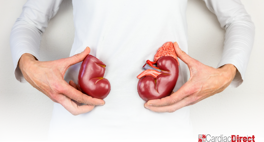 kidney-infection-vs-UTI-featured-image-1