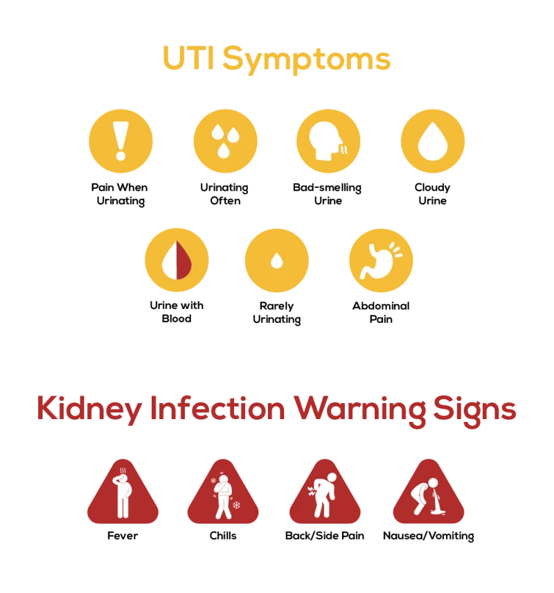 uti_kidney-infection_symptoms-800×856