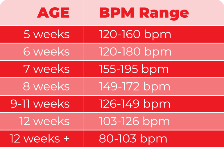 Fetal Heart Beat Chart