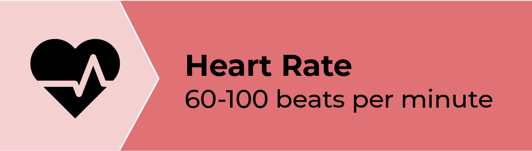 heart rate