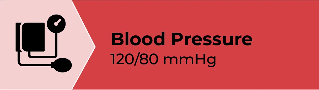 vital-signs-infographic (1)-04