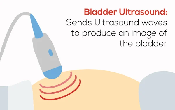 bladder-ultrasound