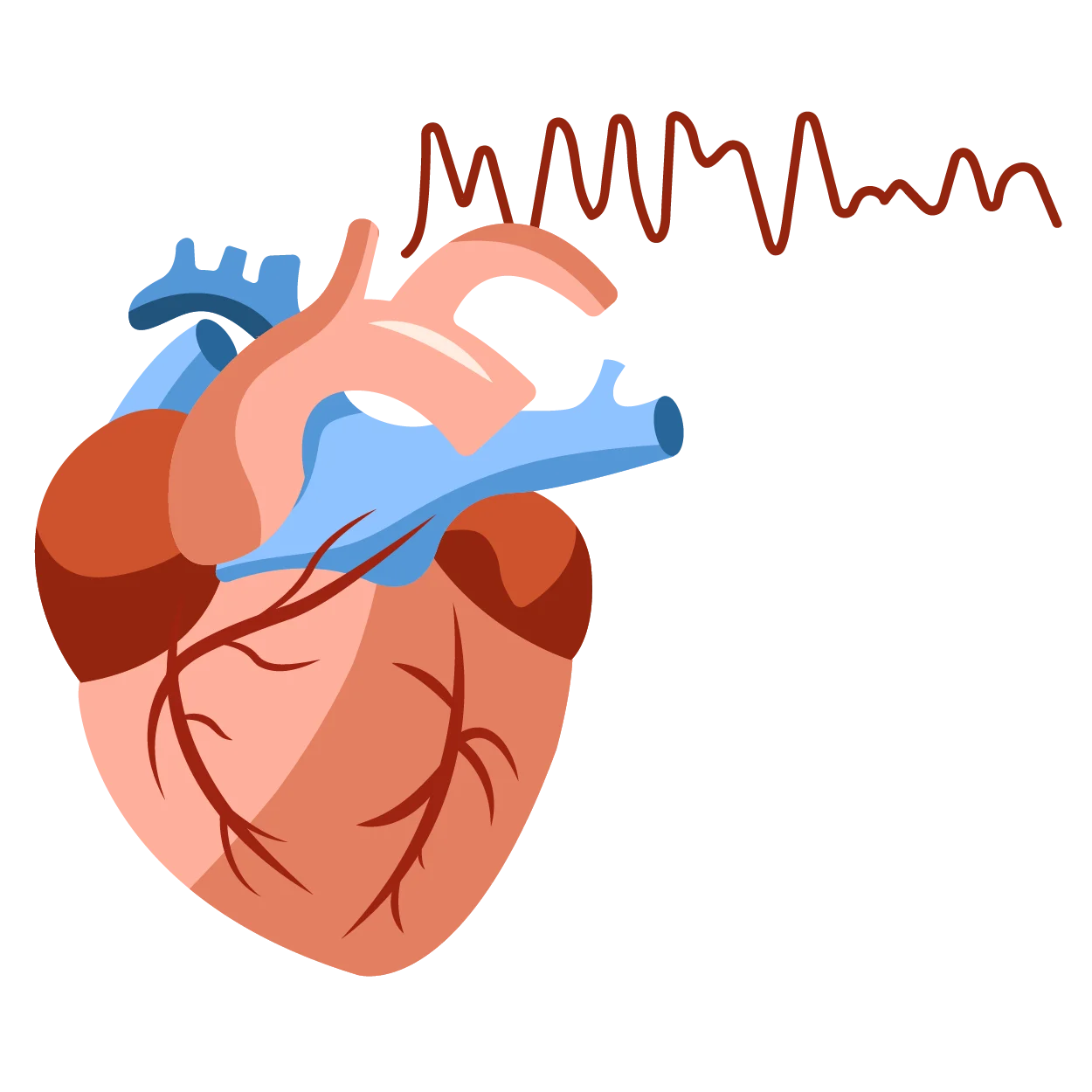 WhyisRapidDefibrillation_Graphics__SuddenCardiacArrest