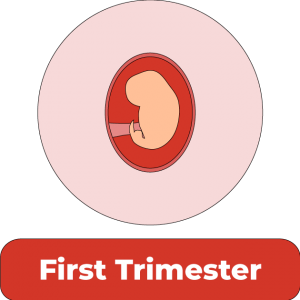 First-trimester