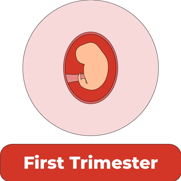First-trimester