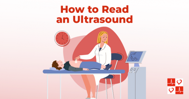 how-to-read-an-ultrasound-graphic-1