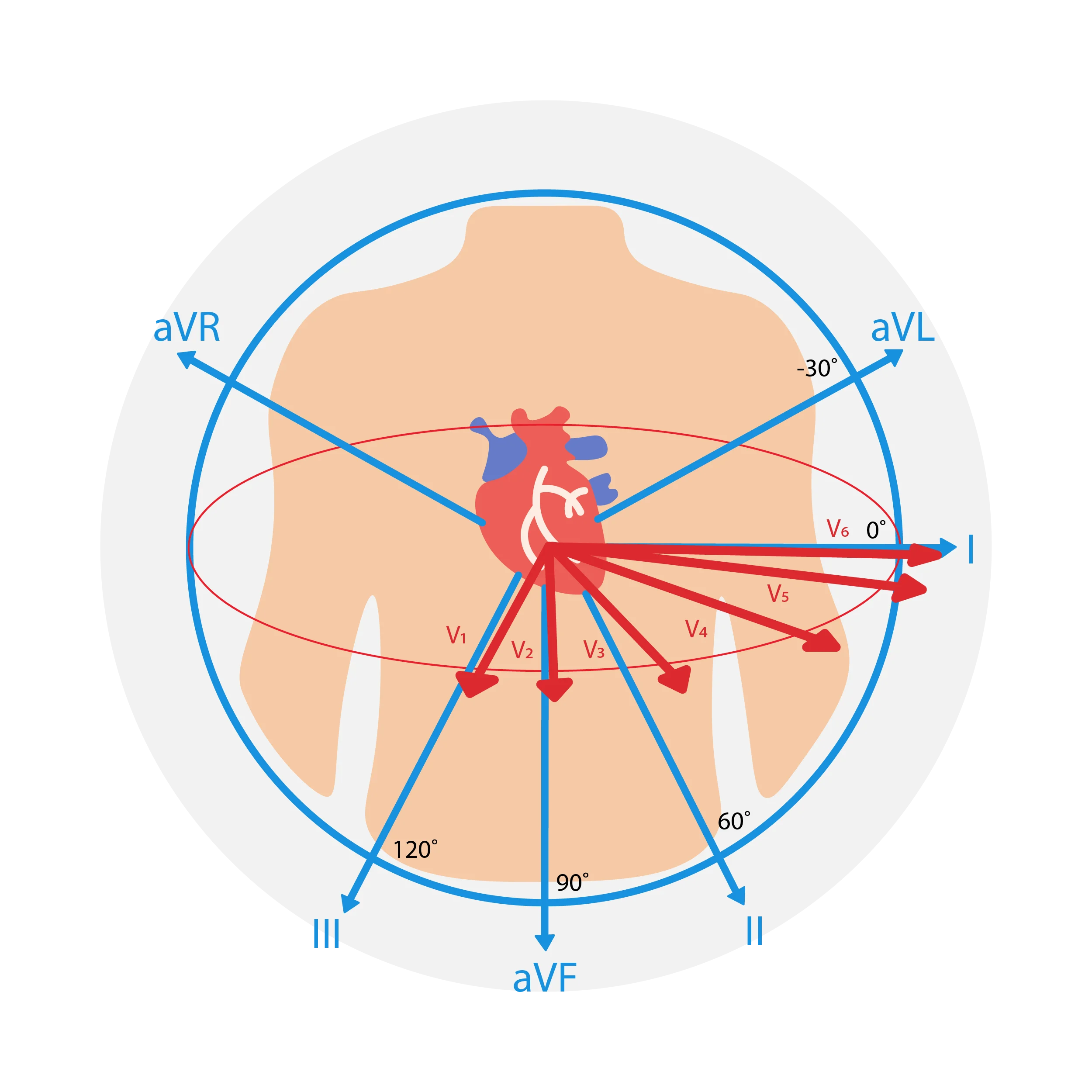 ECG_Placement-02