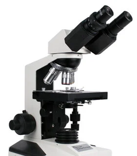 Seilerscope