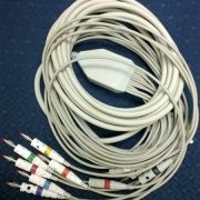 Schiller Resting patient cable, 10-lead with banana plugs; for AT-10 and CS-200