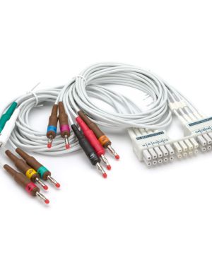 Burdick ELI Series WAM/AM12 10 wire Lead Set 9293-046-60