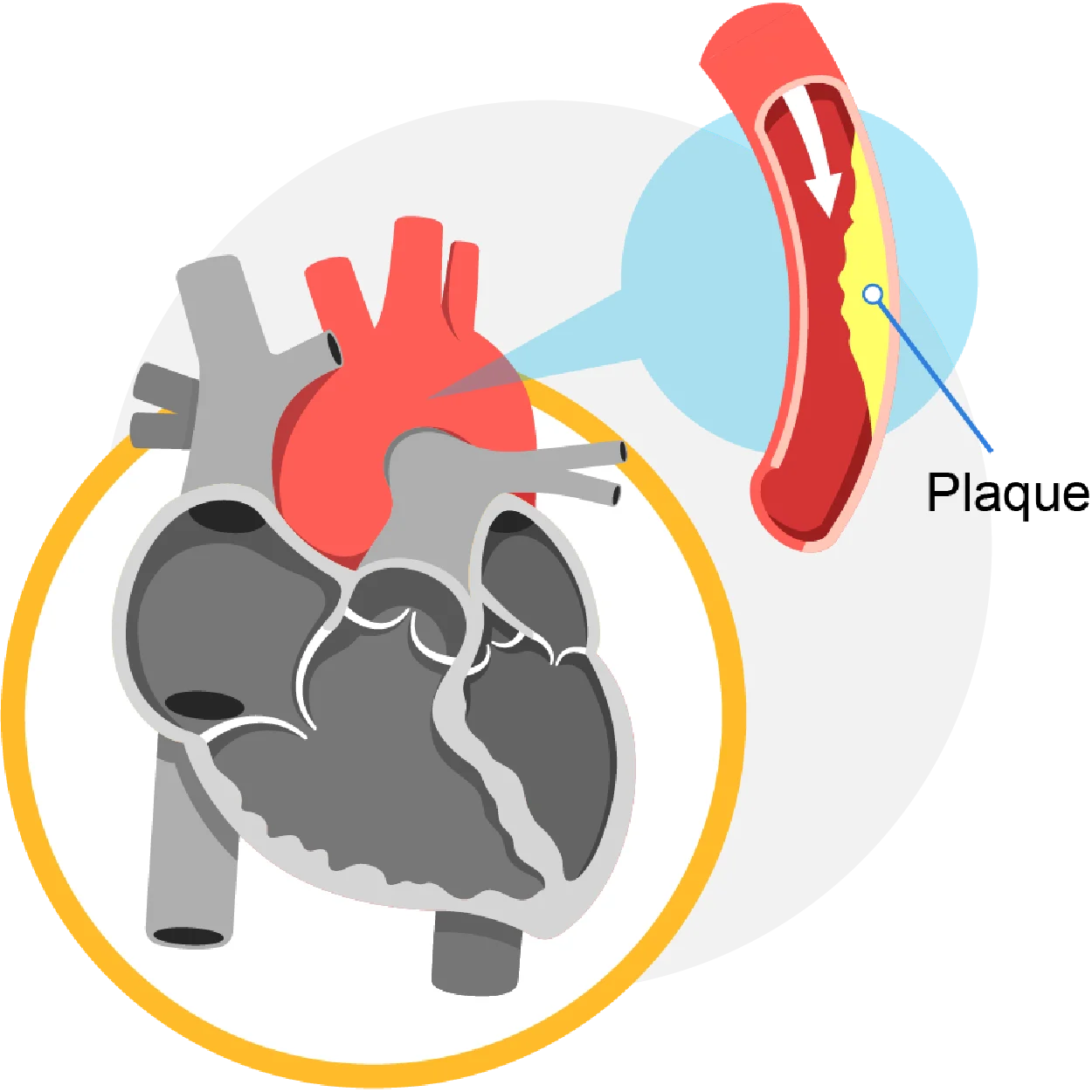 Icons_Diagnose Heart Conditions