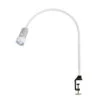 Waldmann HALUX N30-1 P Veterinary Lighting