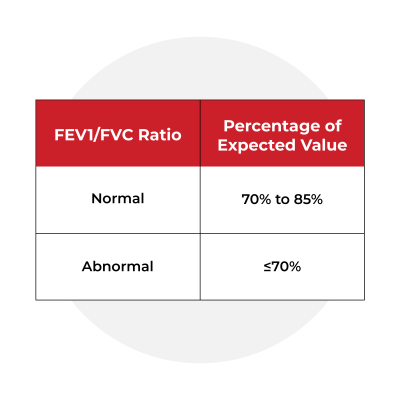 Normal_Values_for_a_Spirometry_Test_Icon3 (1) Normal_Values_for_a_Spirometry_Test_Icon3 (1)