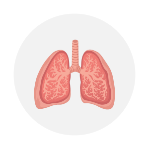What_is_Capnography__Icon_2