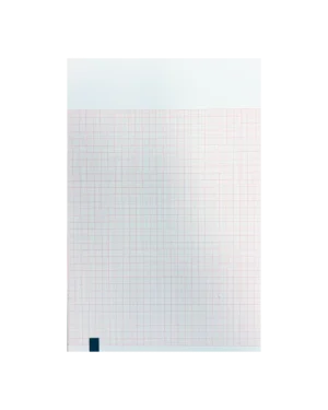 Bionet ECG Folded A4 Medi-Graph Paper